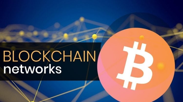 Types of blockchain networks